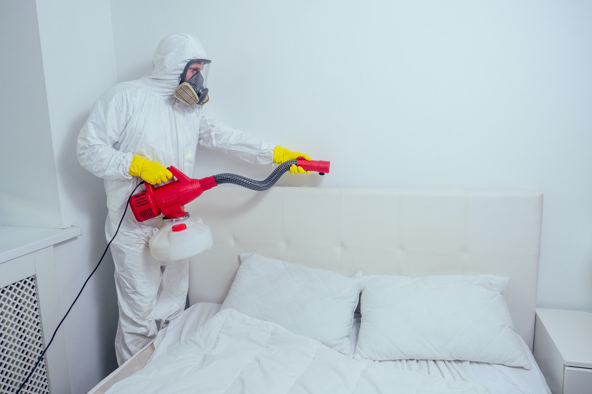 pest control worker lying on floor and spraying pesticides in bedroom